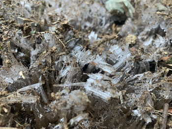 1月31日（日曜日​） の画像