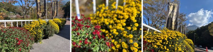 10月28日（土曜日​） の画像