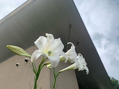 8月15日（火曜日​） の画像