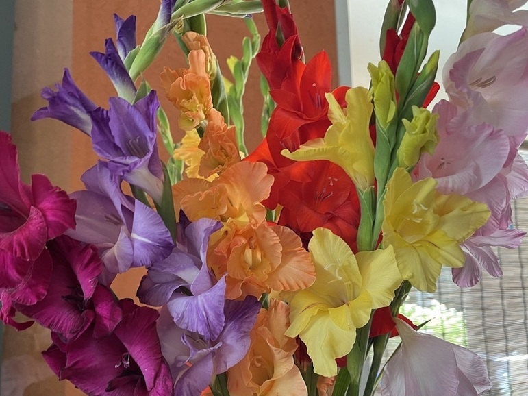 7月21日（金曜日） の画像