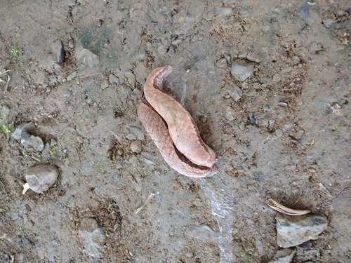 7月8日（土曜日​） の画像