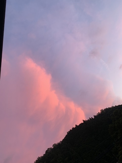 6月26日(月曜日​） の画像