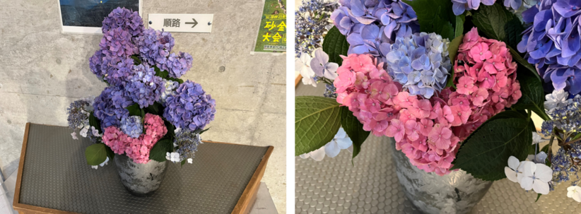 6月22日（木曜日​） の画像2