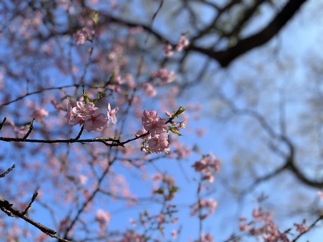 3月11日（土曜日​） の画像