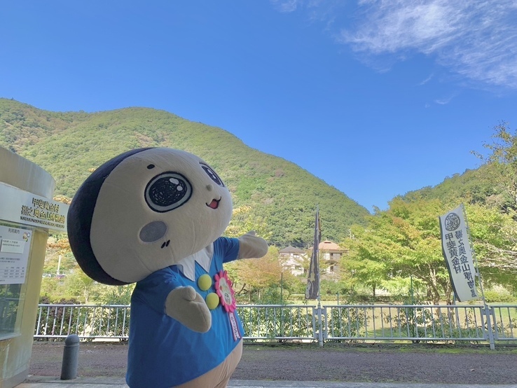 11月3日（日曜日）の画像