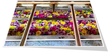 9月6日（金曜日​）の画像2