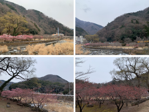 3月5日（月曜日​）の画像