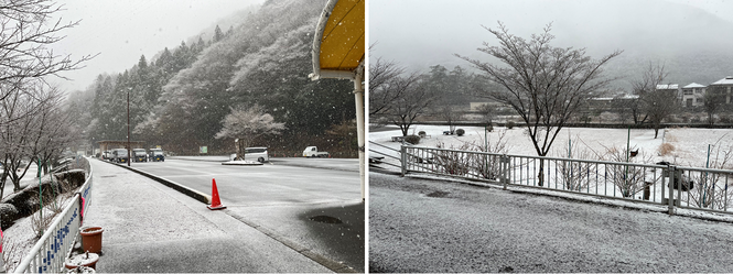 2月5日（月曜日​）の画像
