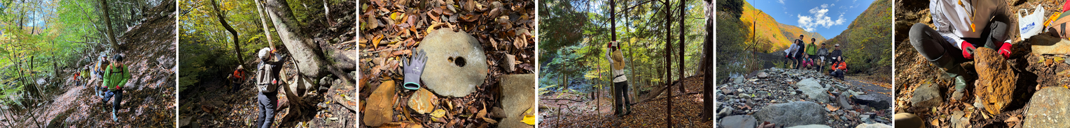 11月17日（月曜日​）の画像1