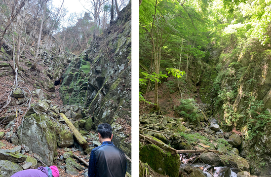 6月11日（土曜日​）の画像3