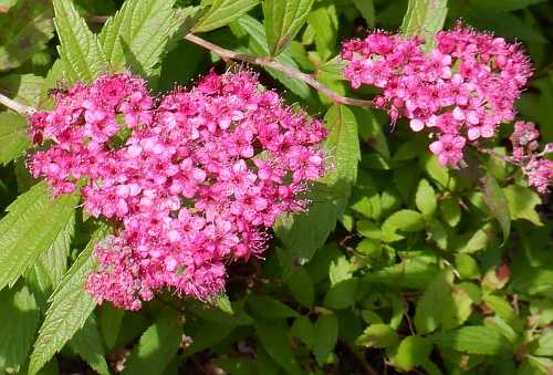 5月29日（日曜日​）の画像