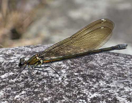 5月22日（日曜日​）の画像