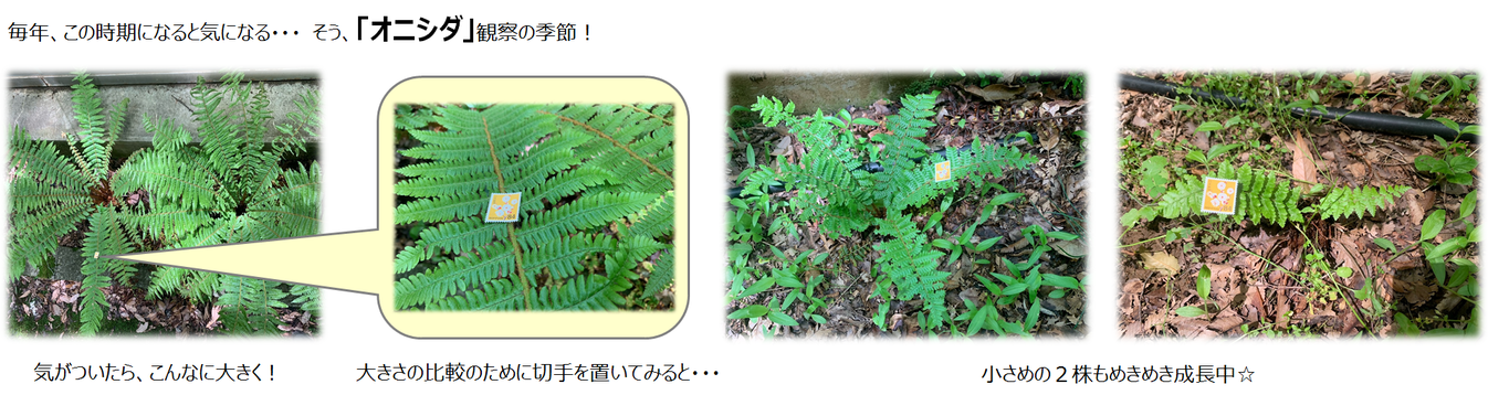 5月10日（火曜日​）の画像2