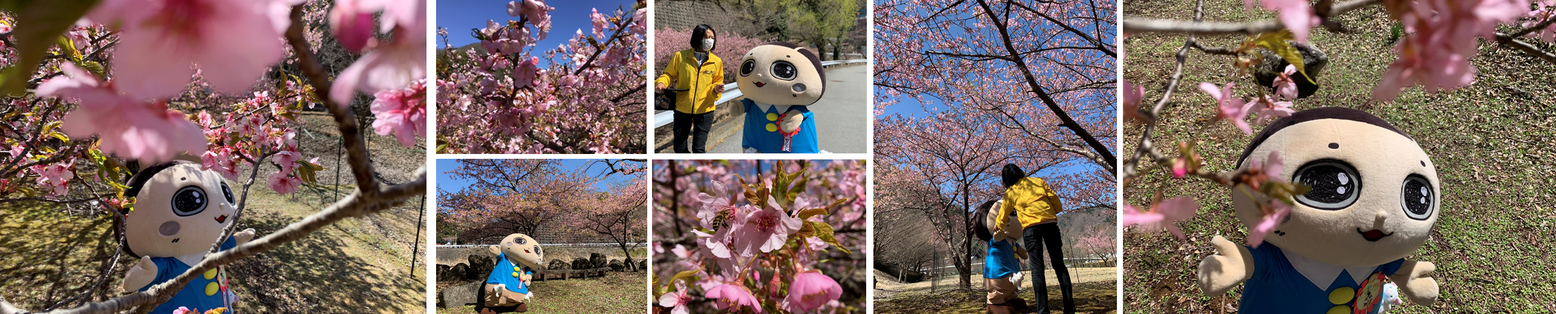 3月24日（木曜日​）の画像