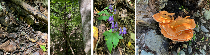 10月18日（土曜日）の画像2
