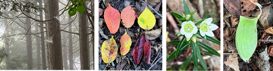 10月13日（月曜日）の画像1