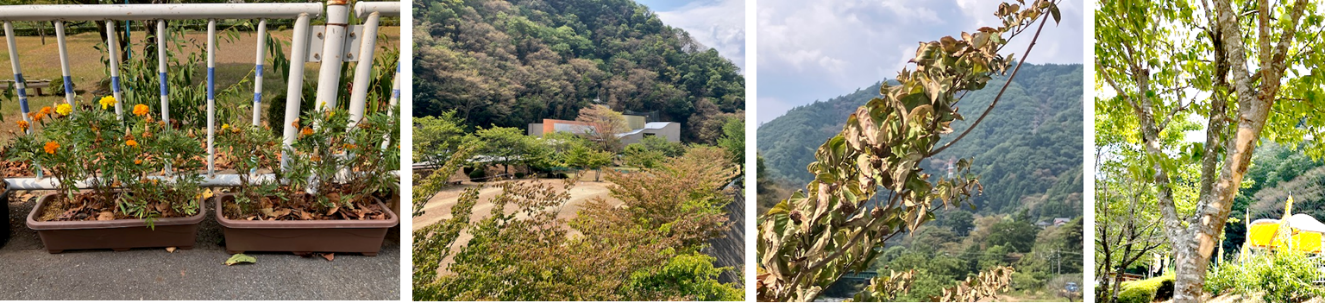 8月25日（月曜日）の画像1