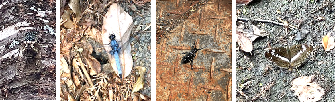 8月25日（月曜日）の画像2