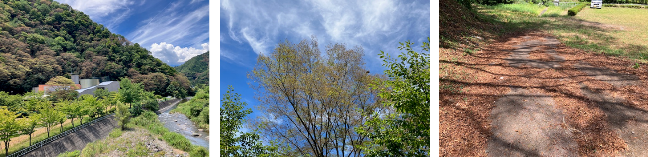 8月2日（土曜日）の画像