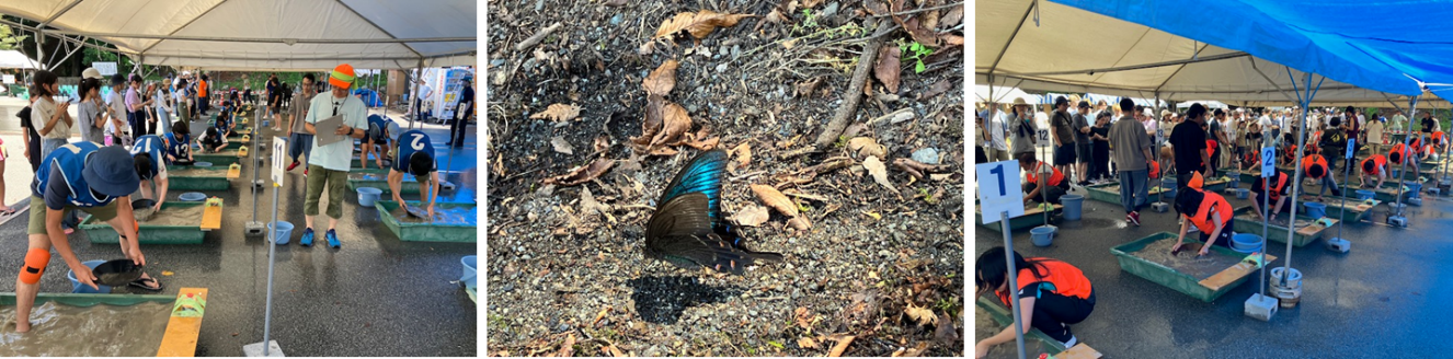 7月26日（土曜日）の画像