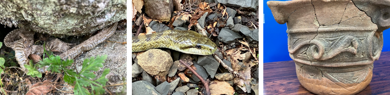 7月6日(日曜日）の画像1