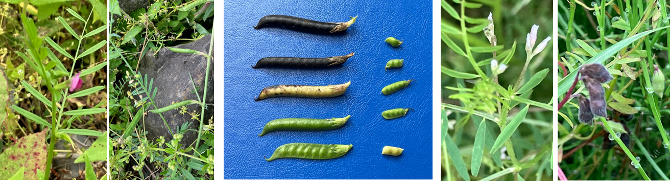 5月19日（月曜日）の画像