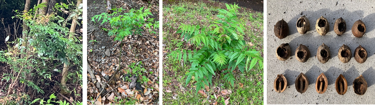 5月10日（土曜日）の画像
