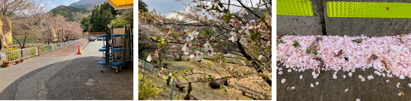 4月10日（木曜日）の画像1