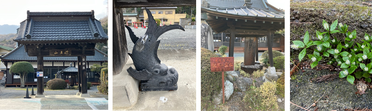 4月7日（月曜日）の画像