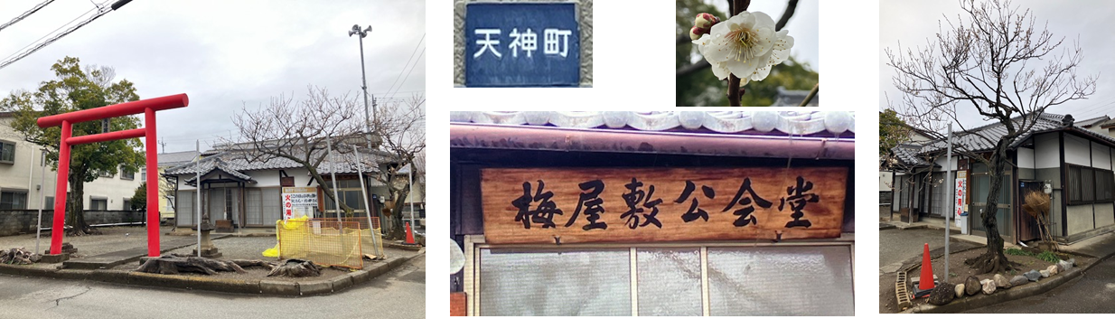 3月8日（土曜日）の画像1