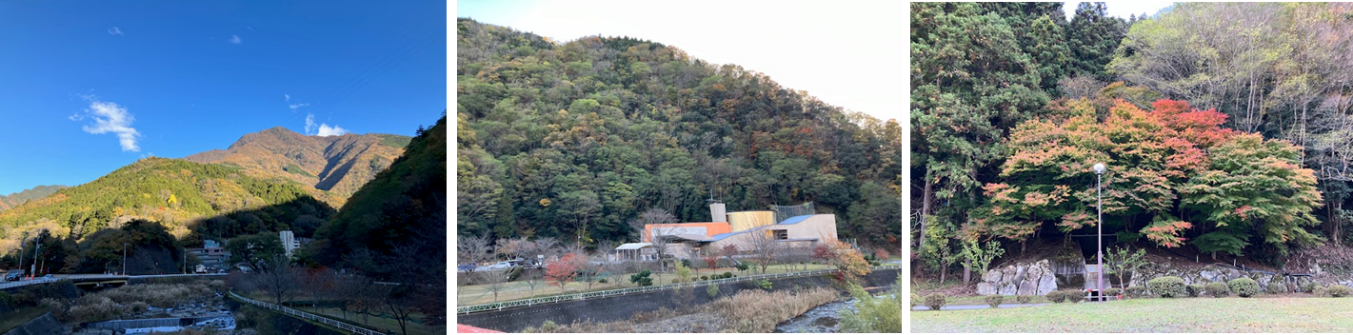 11月29日（金曜日）の画像