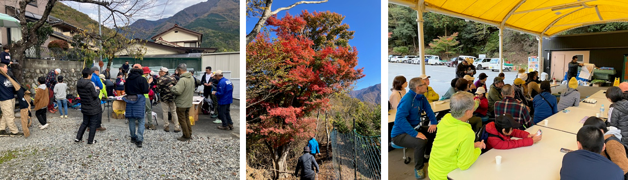 11月24日（日曜日）の画像3