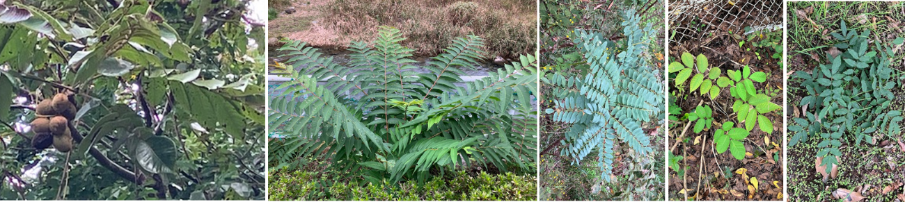 11月4日（月曜日）の画像1