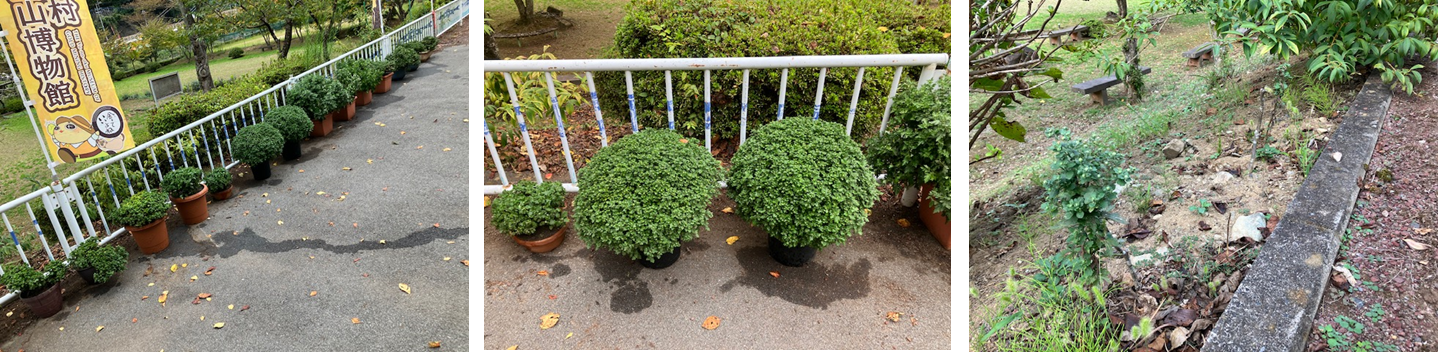 9月30日（月曜日）の画像2