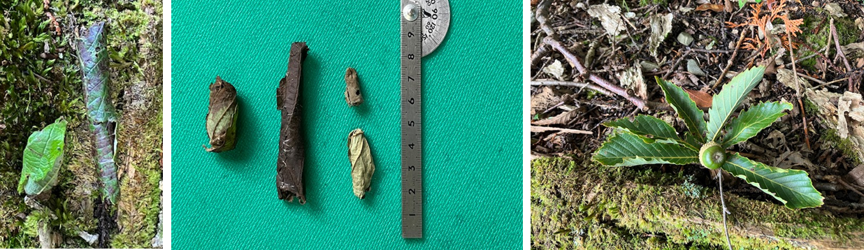 9月23日（月曜日）の画像