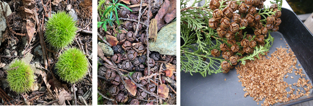 9月20日（金曜日）の画像