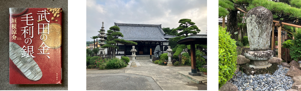 9月8日（日曜日）の画像