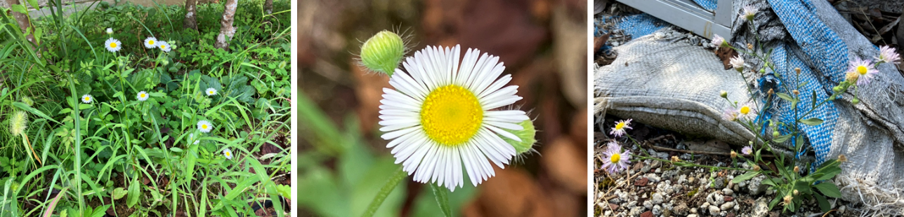 8月18日（日曜日）の画像