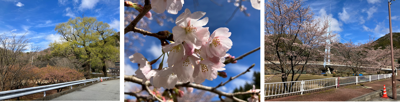 3月29日（金曜日）の画像2