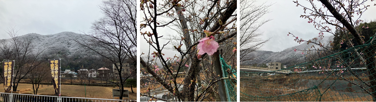 2月25日（日曜日）の画像