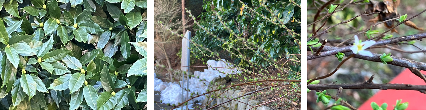 2月11日（日曜日）の画像2