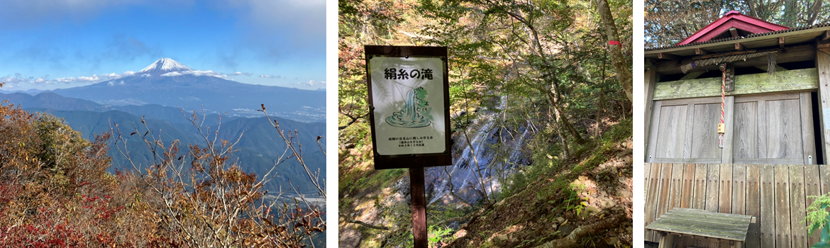 11月5日（日曜日）の画像2