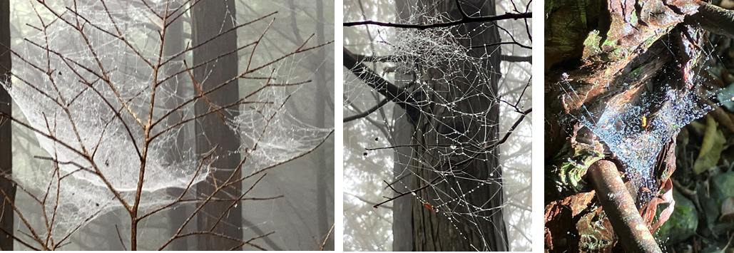 10月15日（日曜日）の画像2