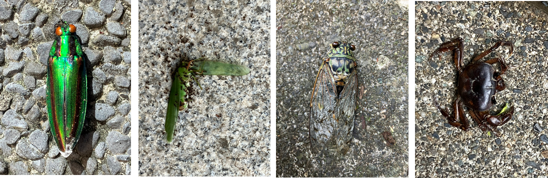 10月5日（木曜日）の画像