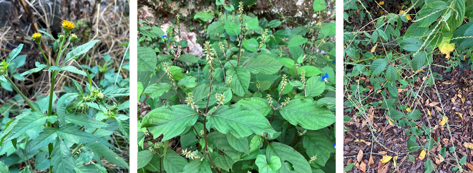 9月28日（木曜日）の画像2