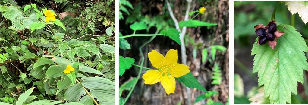 9月10日（日曜日）の画像1