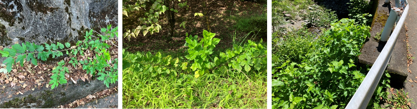 9月7日（木曜日）の画像1