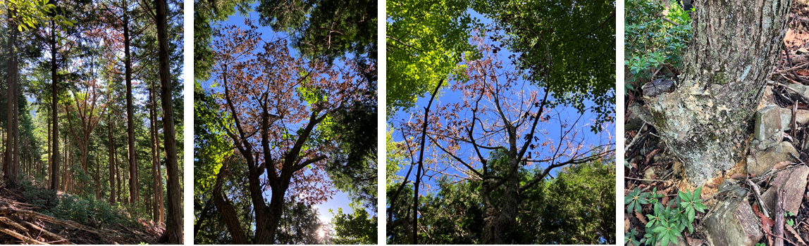 8月31日（木曜日）の画像