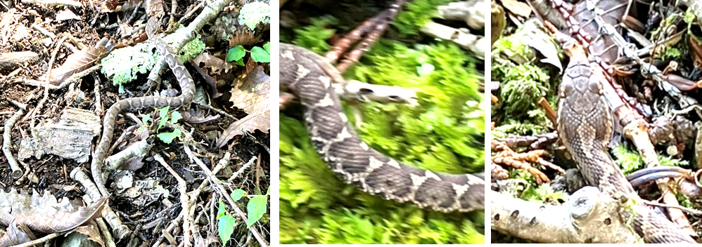 8月14日（月曜日）の画像1