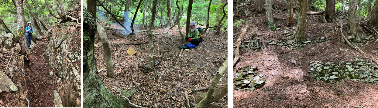 7月16日（日曜日）の画像2